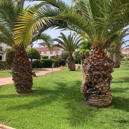 Apartment La Mata Tulip *