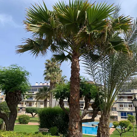 Apartment La Mata Tulip Torrevieja